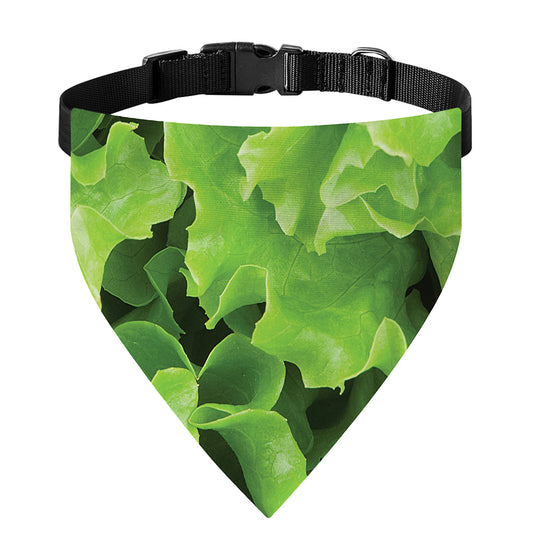 Fresh Lettuce Leaves Print Over The Collar Dog Bandana