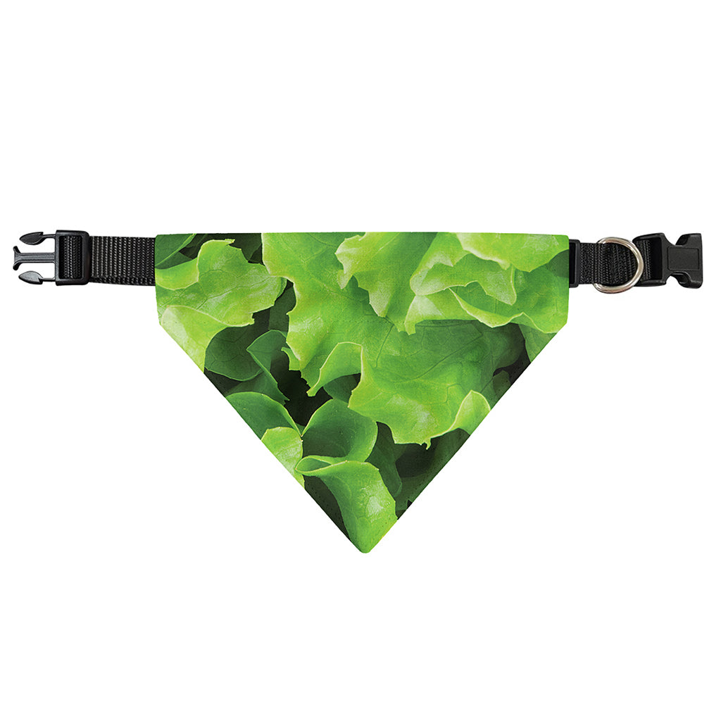 Fresh Lettuce Leaves Print Over The Collar Dog Bandana