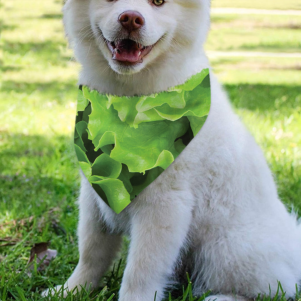 Fresh Lettuce Leaves Print Over The Collar Dog Bandana