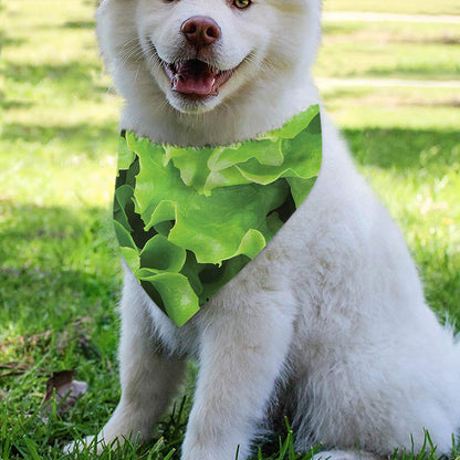 Fresh Lettuce Leaves Print Over The Collar Dog Bandana