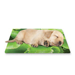 Fresh Lettuce Leaves Print Pet Cooling Mat Cover