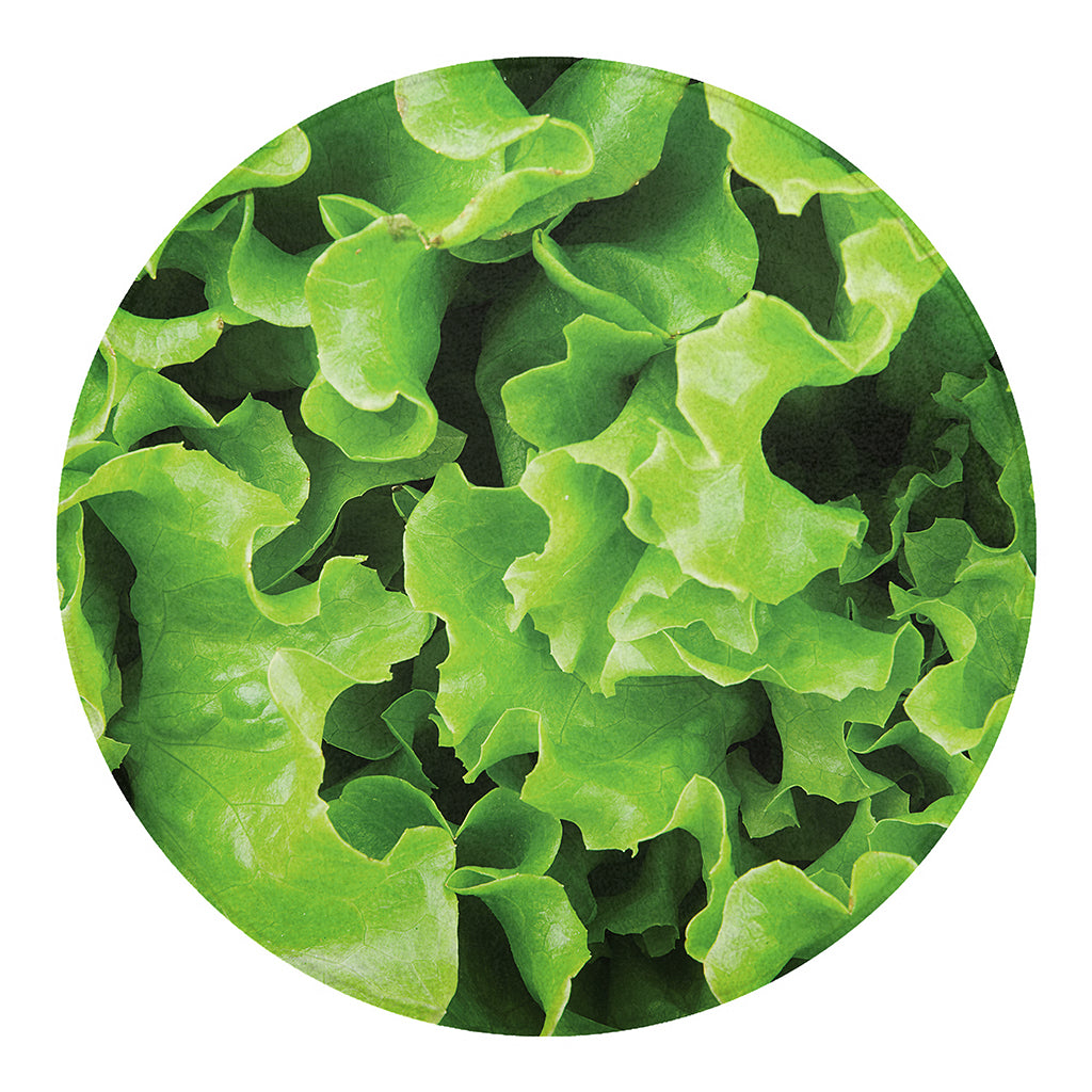 Fresh Lettuce Leaves Print Round Blanket