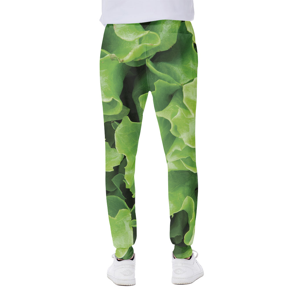 Fresh Lettuce Leaves Print Scuba Joggers