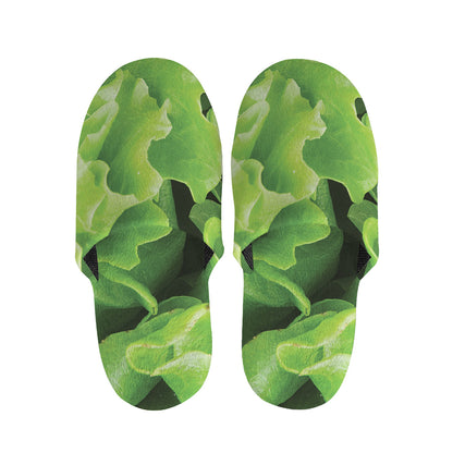 Fresh Lettuce Leaves Print Slippers