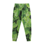 Fresh Lettuce Leaves Print Sweatpants
