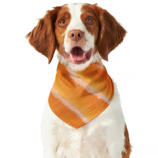 Fresh Salmon Print Dog Bandana