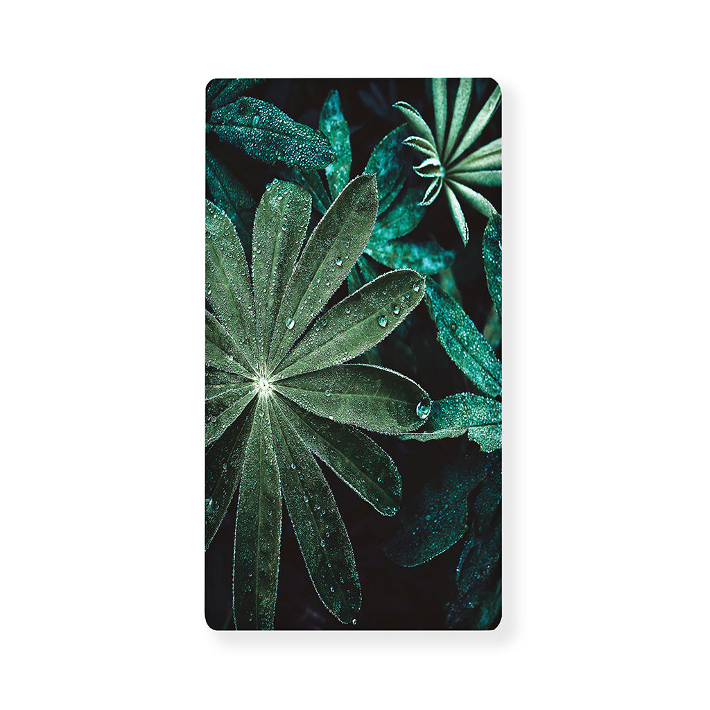 Fresh Tropical Leaf Print Baby Crib Sheet