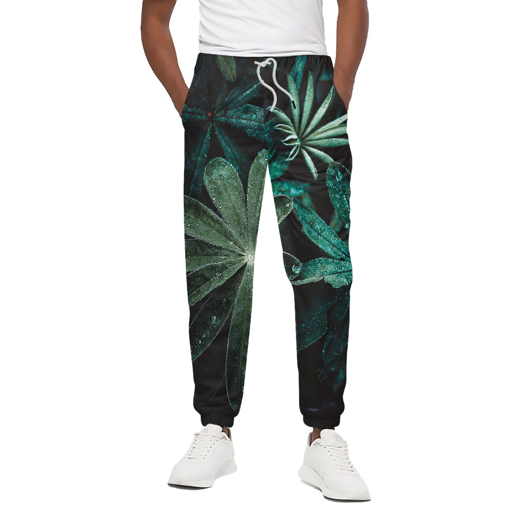 Fresh Tropical Leaf Print Cotton Pants