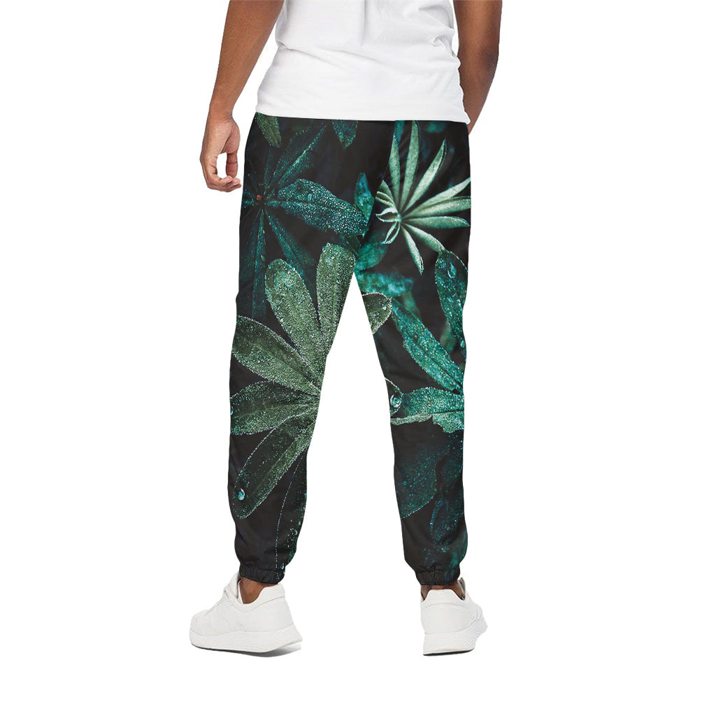 Fresh Tropical Leaf Print Cotton Pants