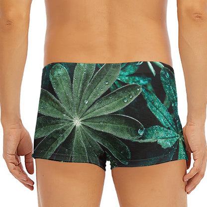 Fresh Tropical Leaf Print Men's Short Boxer Briefs