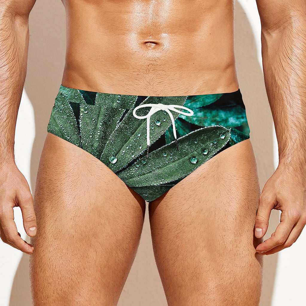 Fresh Tropical Leaf Print Men's Swim Briefs