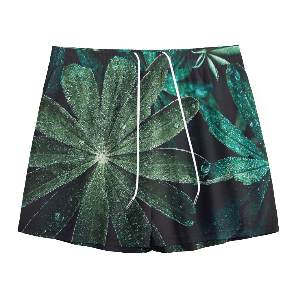 Fresh Tropical Leaf Print Mesh Shorts