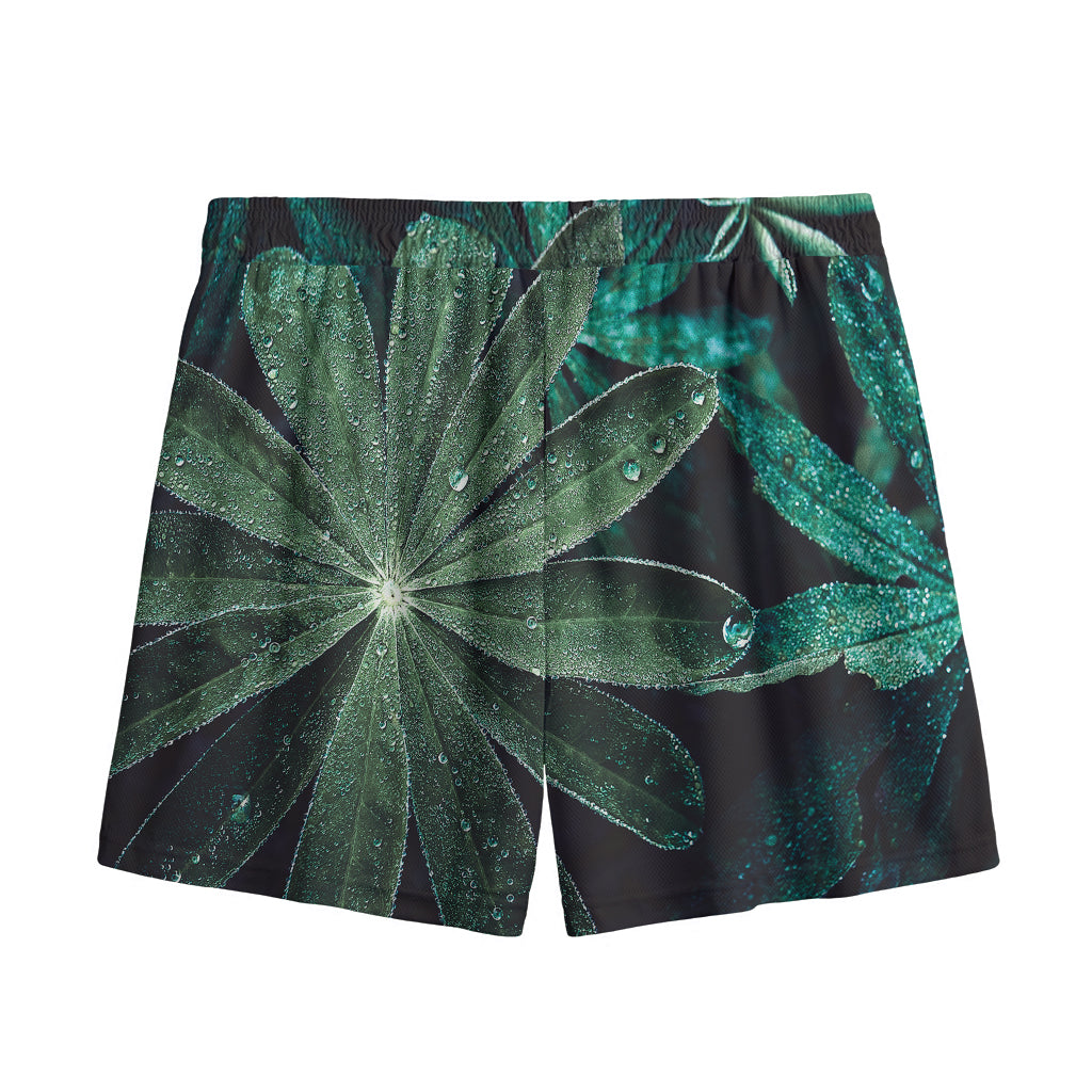 Fresh Tropical Leaf Print Mesh Shorts