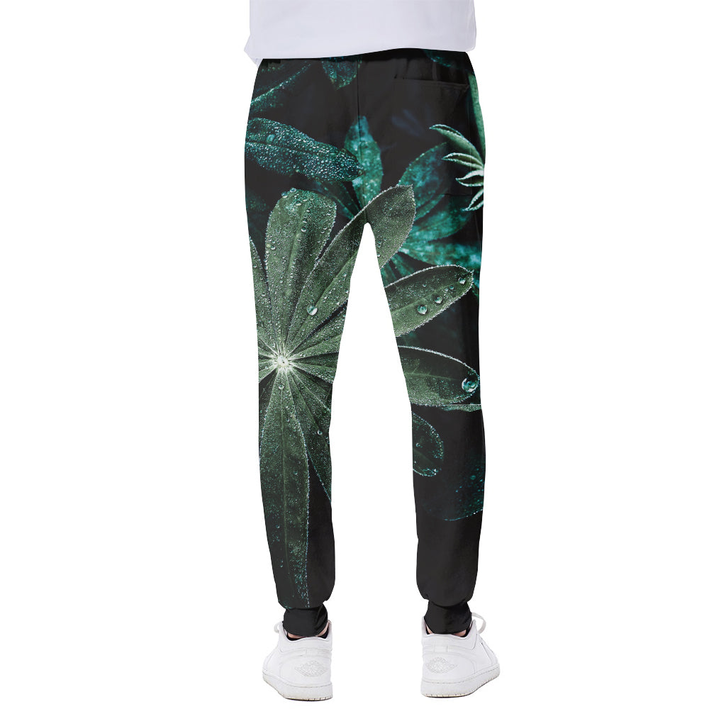 Fresh Tropical Leaf Print Scuba Joggers
