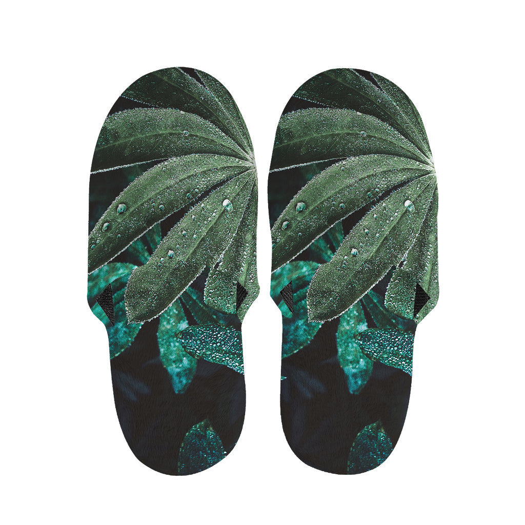 Fresh Tropical Leaf Print Slippers