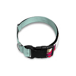 Frida Kahlo And Floral Print Dog Collar
