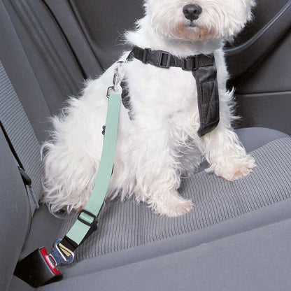 Frida Kahlo And Floral Print Dog Seat Belt