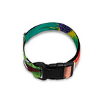 Frida Kahlo Serape Print Dog Collar