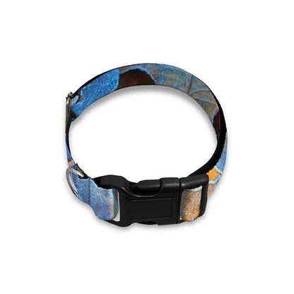 Frozen Oak leaf Print Dog Collar