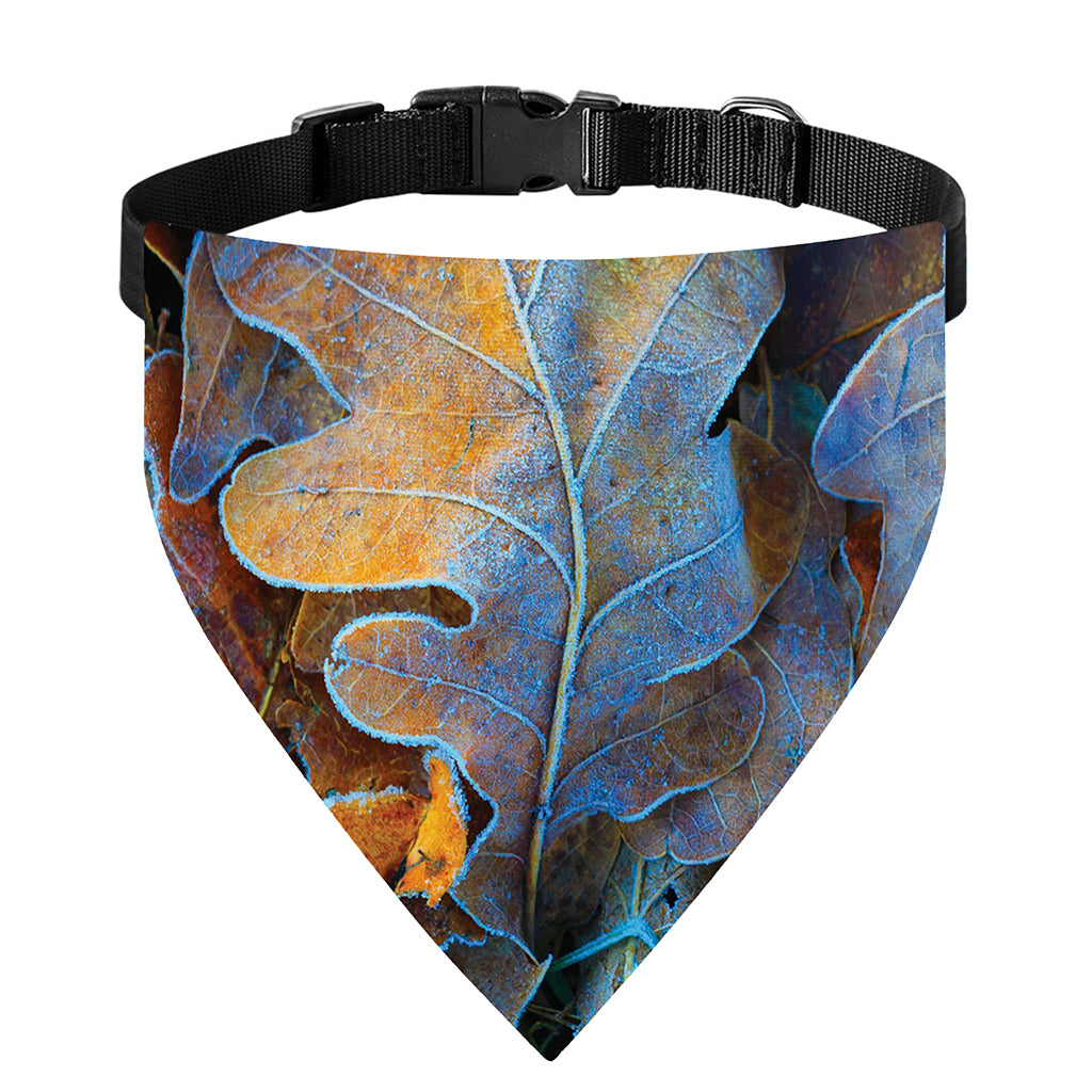 Frozen Oak leaf Print Over The Collar Dog Bandana