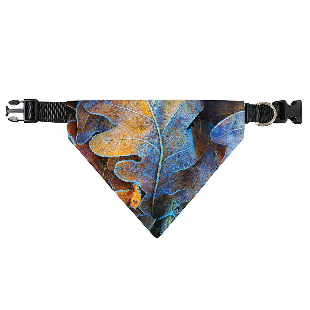 Frozen Oak leaf Print Over The Collar Dog Bandana