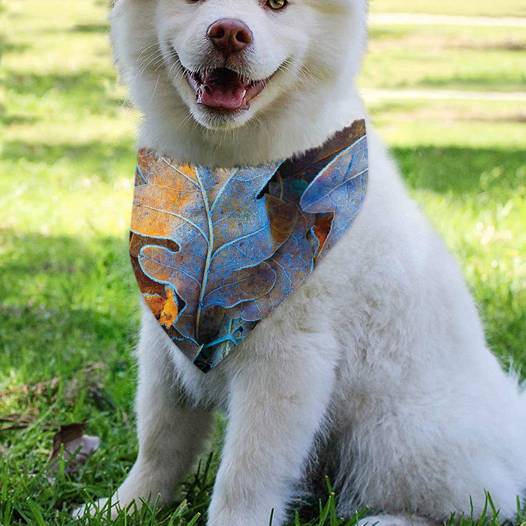 Frozen Oak leaf Print Over The Collar Dog Bandana