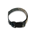 Full Moon And Night Stars Print Dog Collar