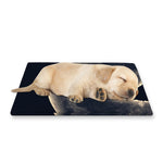 Full Moon Howling Wolf Print Pet Cooling Mat Cover