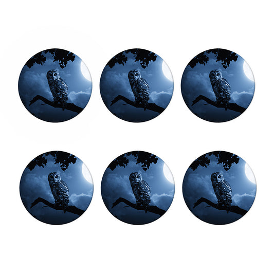 Full Moon Night Owl Print Coaster Set