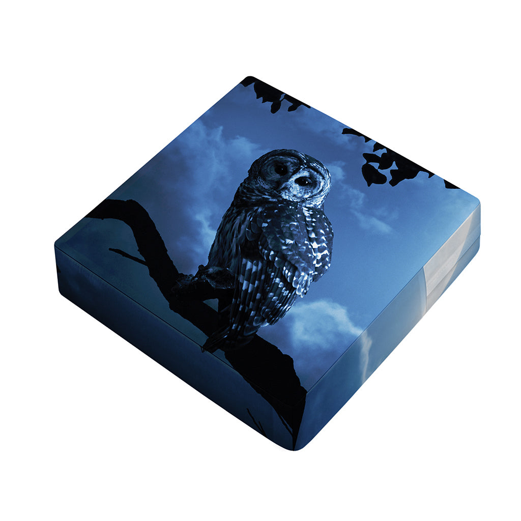 Full Moon Night Owl Print Outdoor Seat Cushion Cover