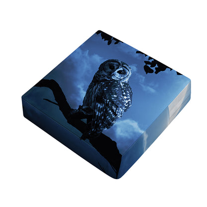 Full Moon Night Owl Print Outdoor Seat Cushion Cover