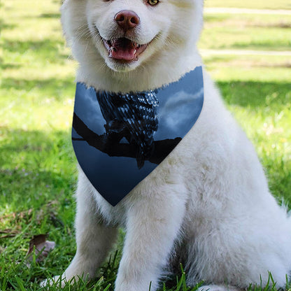 Full Moon Night Owl Print Over The Collar Dog Bandana