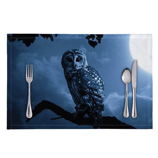 Full Moon Night Owl Print Placemat