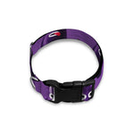 Funny Eggplant Pattern Print Dog Collar