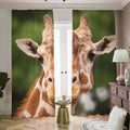 Funny Giraffe Print Dimout Pencil Pleat Curtains