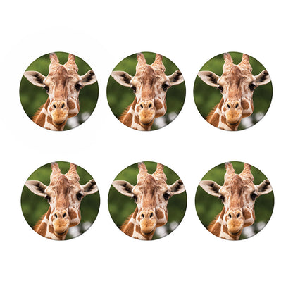 Funny Giraffe Print Coaster Set