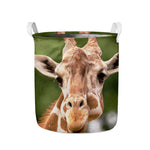 Funny Giraffe Print Collapsible Laundry Basket