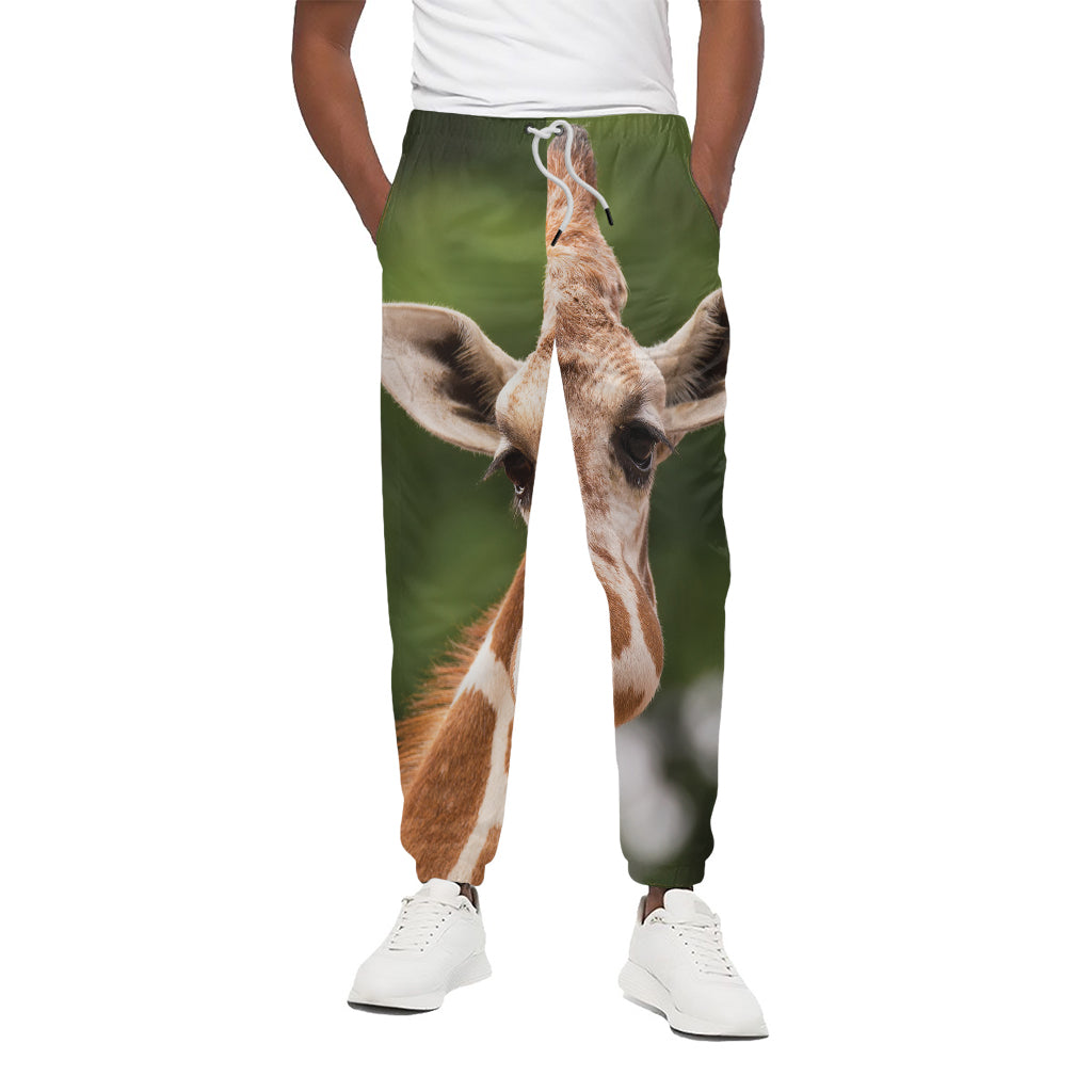 Funny Giraffe Print Cotton Pants