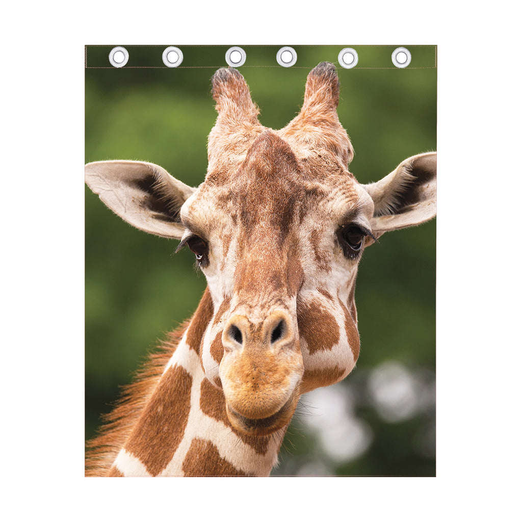 Funny Giraffe Print Curtain