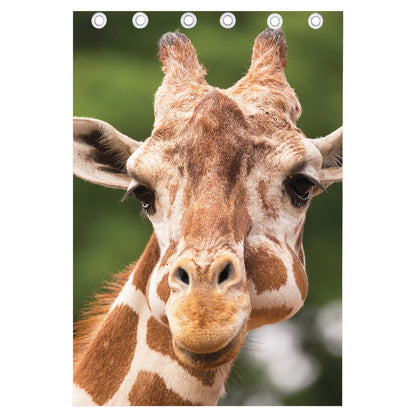 Funny Giraffe Print Curtain
