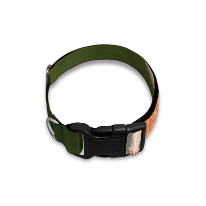 Funny Giraffe Print Dog Collar
