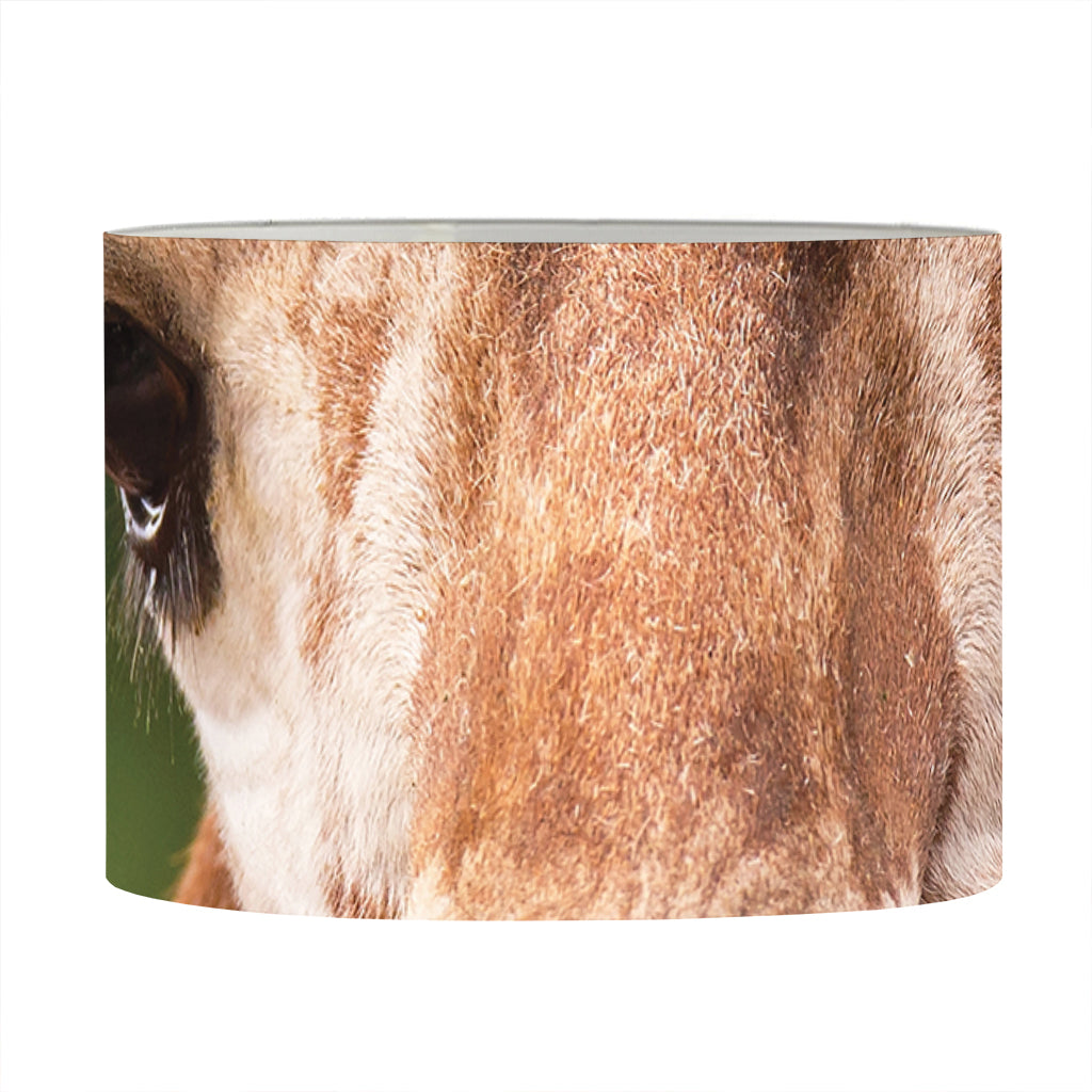 Funny Giraffe Print Drum Lamp Shade