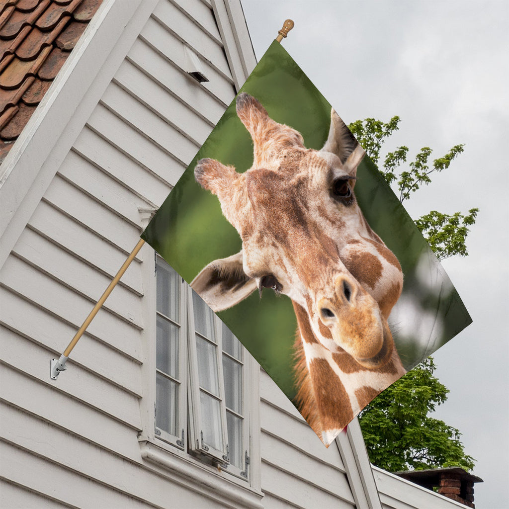 Funny Giraffe Print House Flag