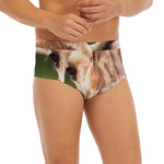 Funny Giraffe Print Men's Briefs