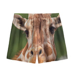 Funny Giraffe Print Mesh Shorts