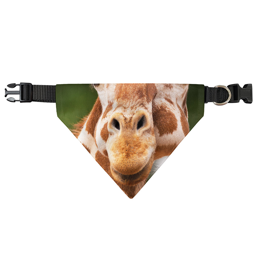Funny Giraffe Print Over The Collar Dog Bandana