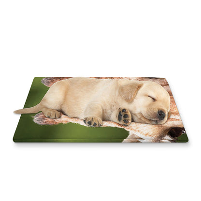 Funny Giraffe Print Pet Cooling Mat Cover