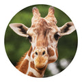 Funny Giraffe Print Round Blanket