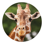 Funny Giraffe Print Round Blanket