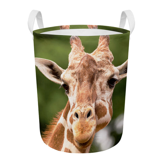 Funny Giraffe Print Round Laundry Basket